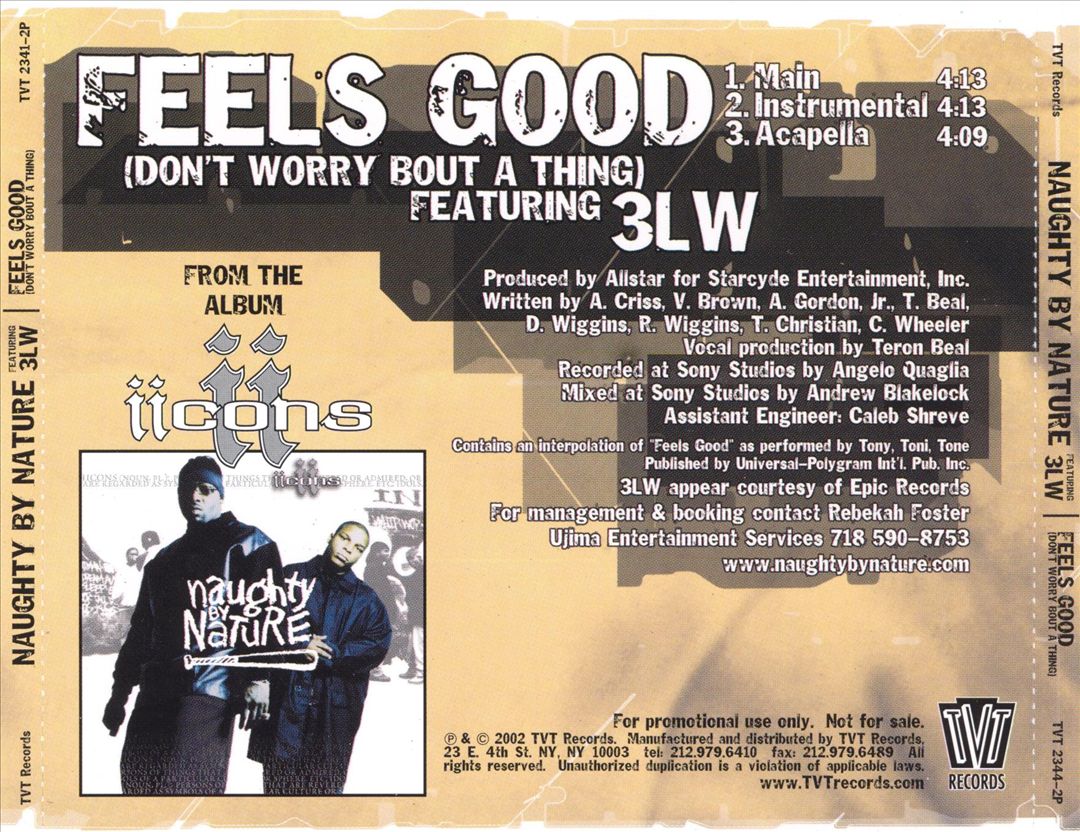 Feels Good (Don't Worry Bout A Thing) [3 Track CD/12" Single] cover art