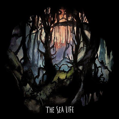 Sea Life cover art