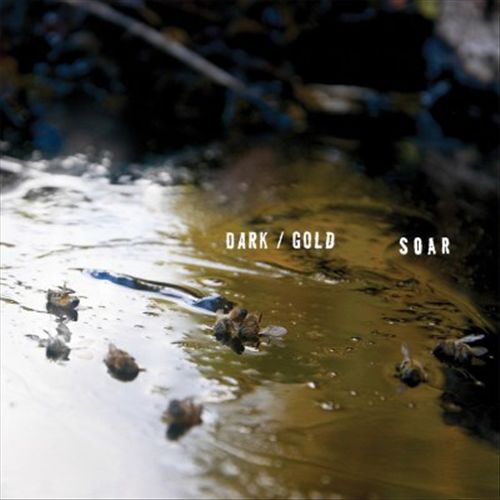 Dark/Gold cover art