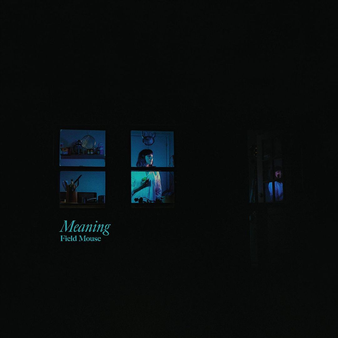 Meaning cover art