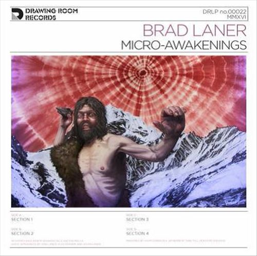 Micro-Awakenings cover art