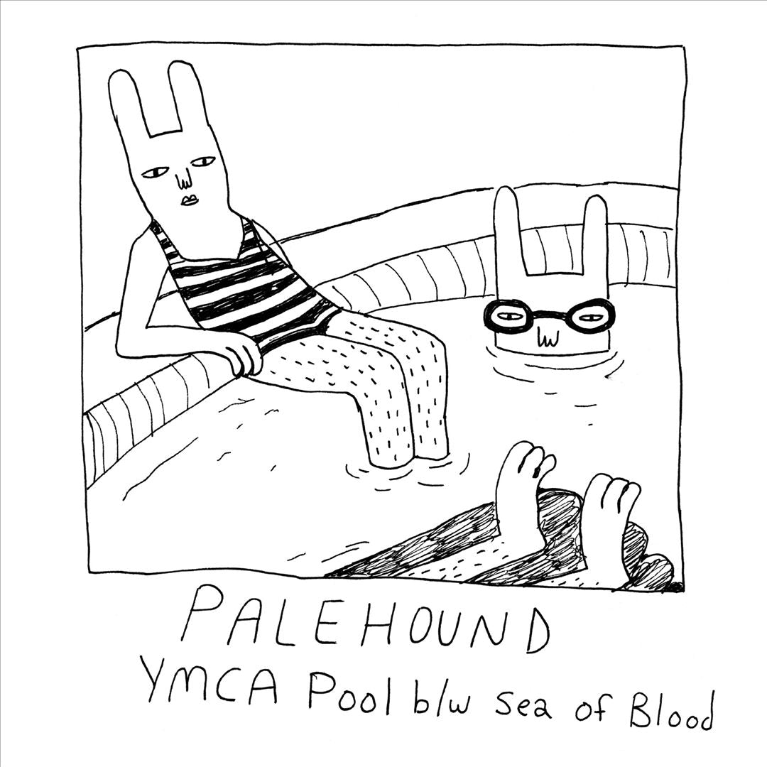 YMCA Pool cover art