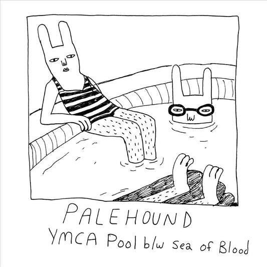 YMCA Pool cover art