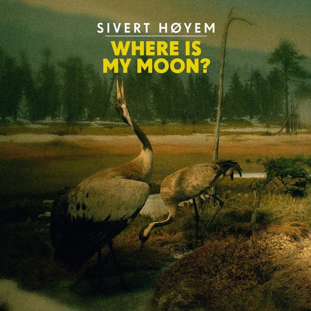 Where Is My Moon? cover art