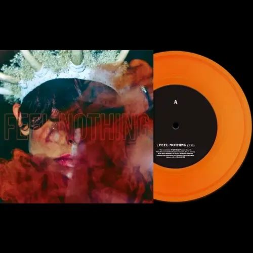 Feel Nothing/Paradigm [Translucent Orange 7" Single] cover art