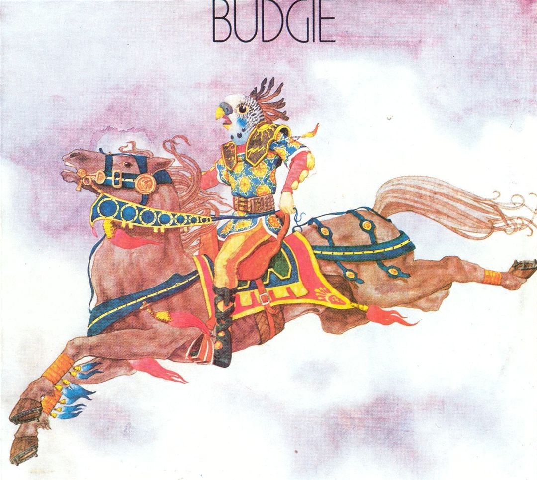 Budgie cover art