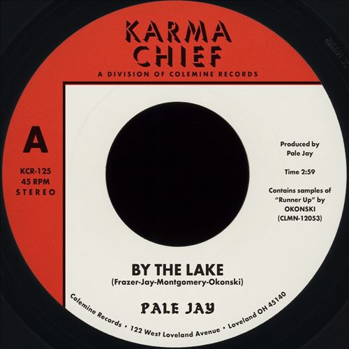 By the Lake cover art