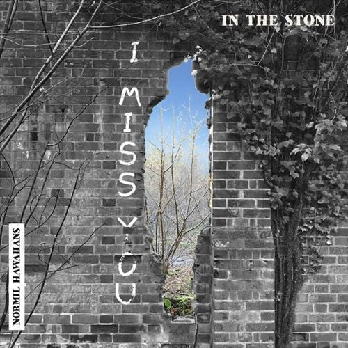 In the Stone cover art