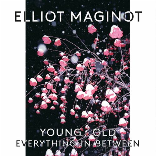 Young. Old. Everything. In. Between cover art