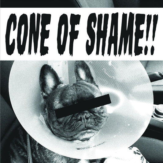 Cone of Shame cover art