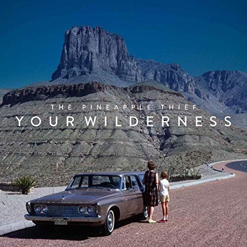 Your Wilderness cover art