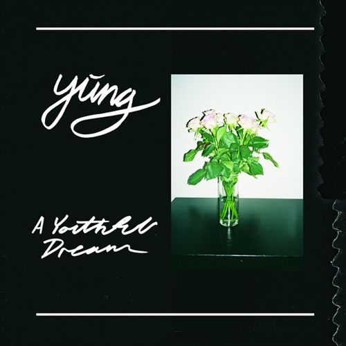 Youthful Dream cover art