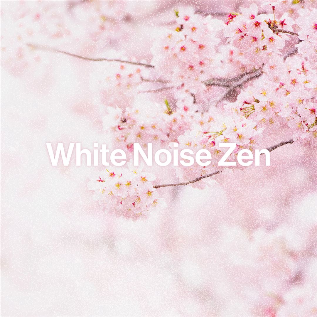 White Noise Zen cover art