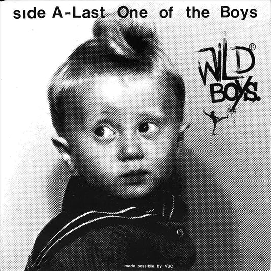 Last One of the Boys cover art