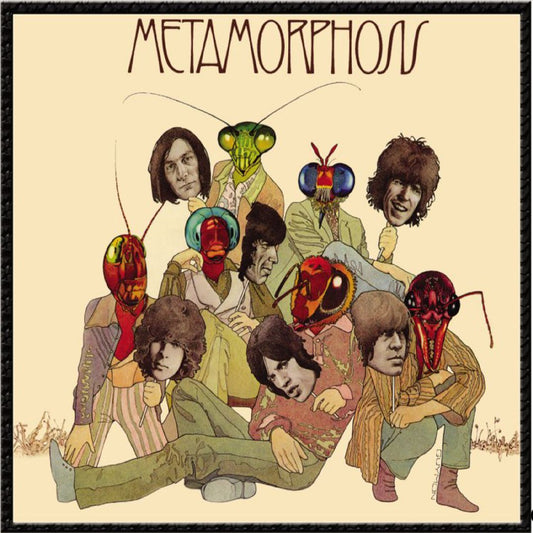 Metamorphosis cover art