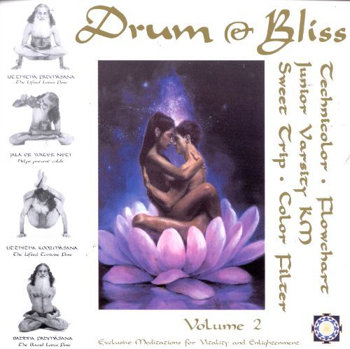 Drum & Bliss, Vol. 2 cover art