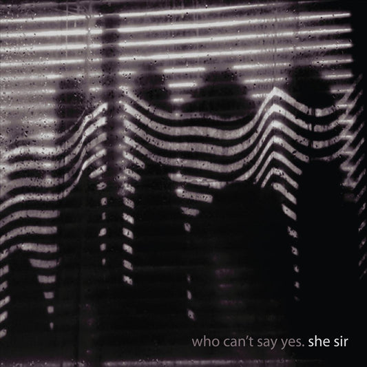 Who Can't Say Yes cover art