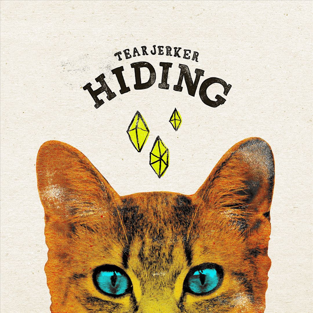 Hiding cover art