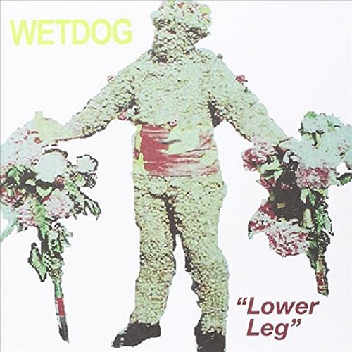 Lower Leg cover art