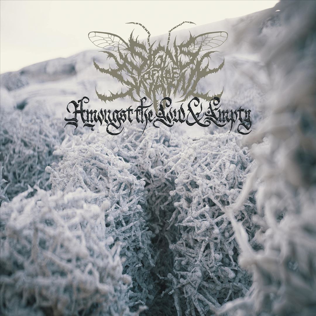 Amongst the Low & Empty – Signs of the Swarm – InnerSleeve