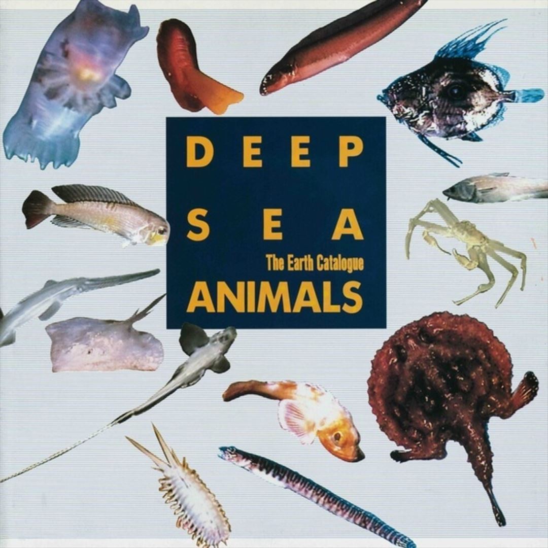 Deep Sea Animals cover art